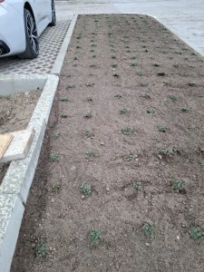 Realizace Lipsko - práce s kamením - DE