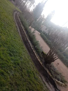 Realisierung - Bischausen (1)